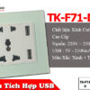 ổ cắm vuông có usb âm tường cao cấp xanh mint tenko tk-f71-d-44