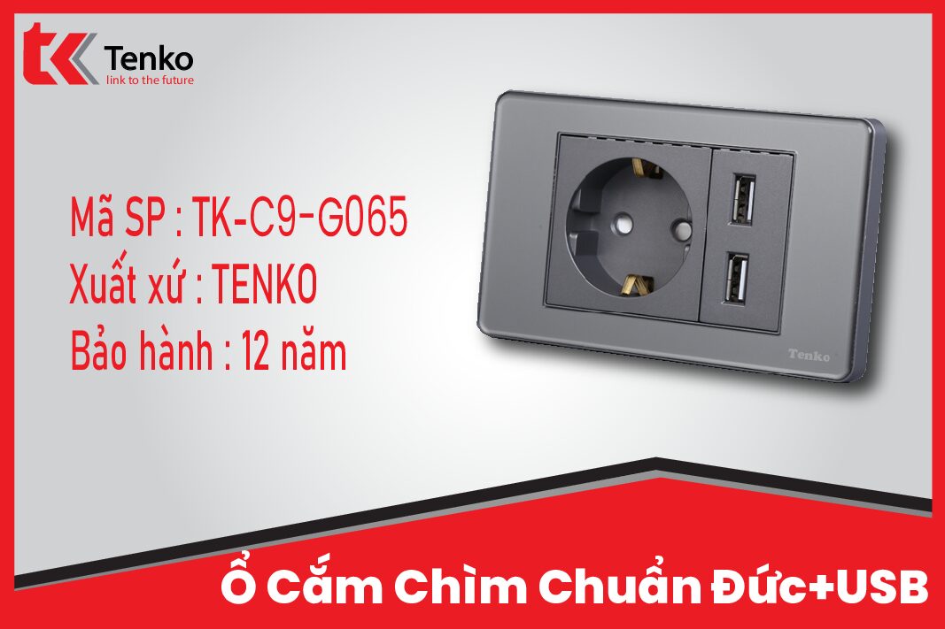 Ổ Cắm Chìm Chuẩn Đức Có USB Màu Xám Âm Tường Tenko TK-C9-G065