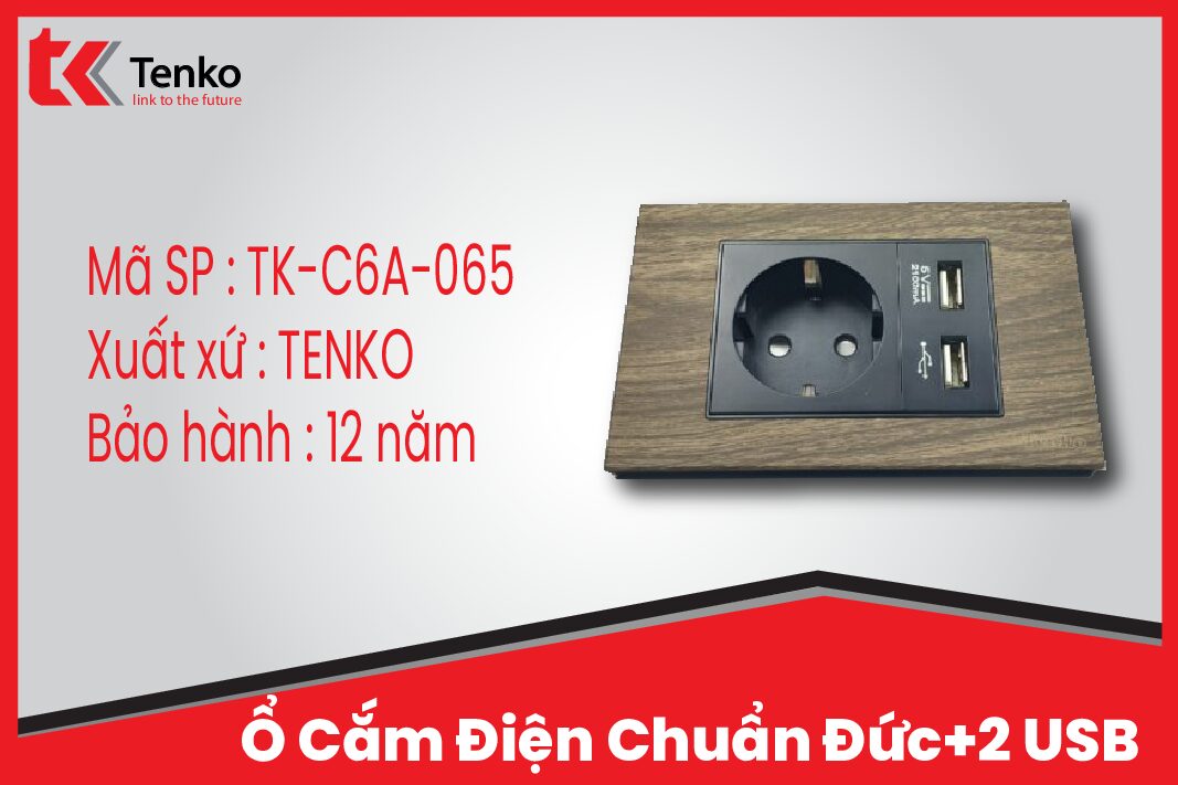 Ổ Cắm Điện Chống Giật Chuẩn Đức Tích Hợp 2 Cổng USB Sạc 5V Vân Gỗ Tenko TK-C6A-065