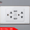 Ổ cắm đôi 3 chấu + USB TK-C18W-045