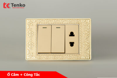 Công Tắc 2 Nút Và Ổ Cắm Đôi Âm Tường Mặt Hoa Văn Đồng Nguyên Khối TENKO TK-C8-027