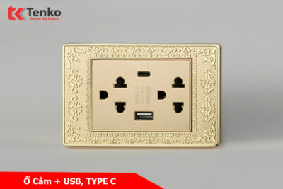 Ổ Cắm Điện Đôi 3 Chấu Có USB và Type C Mặt Hoa Văn Đồng Nguyên Khối Tenko TK-C8-045