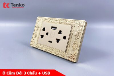 Ổ Cắm Điện Đôi 3 Chấu Có USB và Type C Mặt Hoa Văn Đồng Nguyên Khối Tenko TK-C8-045