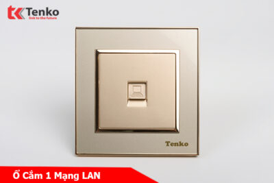 Ổ Cắm Mạng LAN (RJ45) Mặt Nhựa Vàng Tenko TK-F66-50
