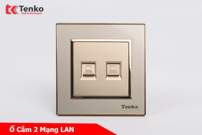 Ổ Cắm 2 Mạng LAN (RJ45) Mặt Nhựa Vàng Tenko TK-F66-52