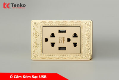 Ổ Cắm Điện Đôi 3 Chấu Có Sạc USB Mặt Hoa Văn Đồng Nguyên Khối Tenko TK-C8-045USB