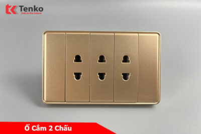 Ổ Cắm Điện 2 Chấu Âm Tường Mặt Tràn Viền Tenko TK-C1-020 Vàng Viền Vàng